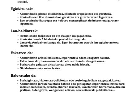 LAN DEIALDIA Komunikazio teknikaria